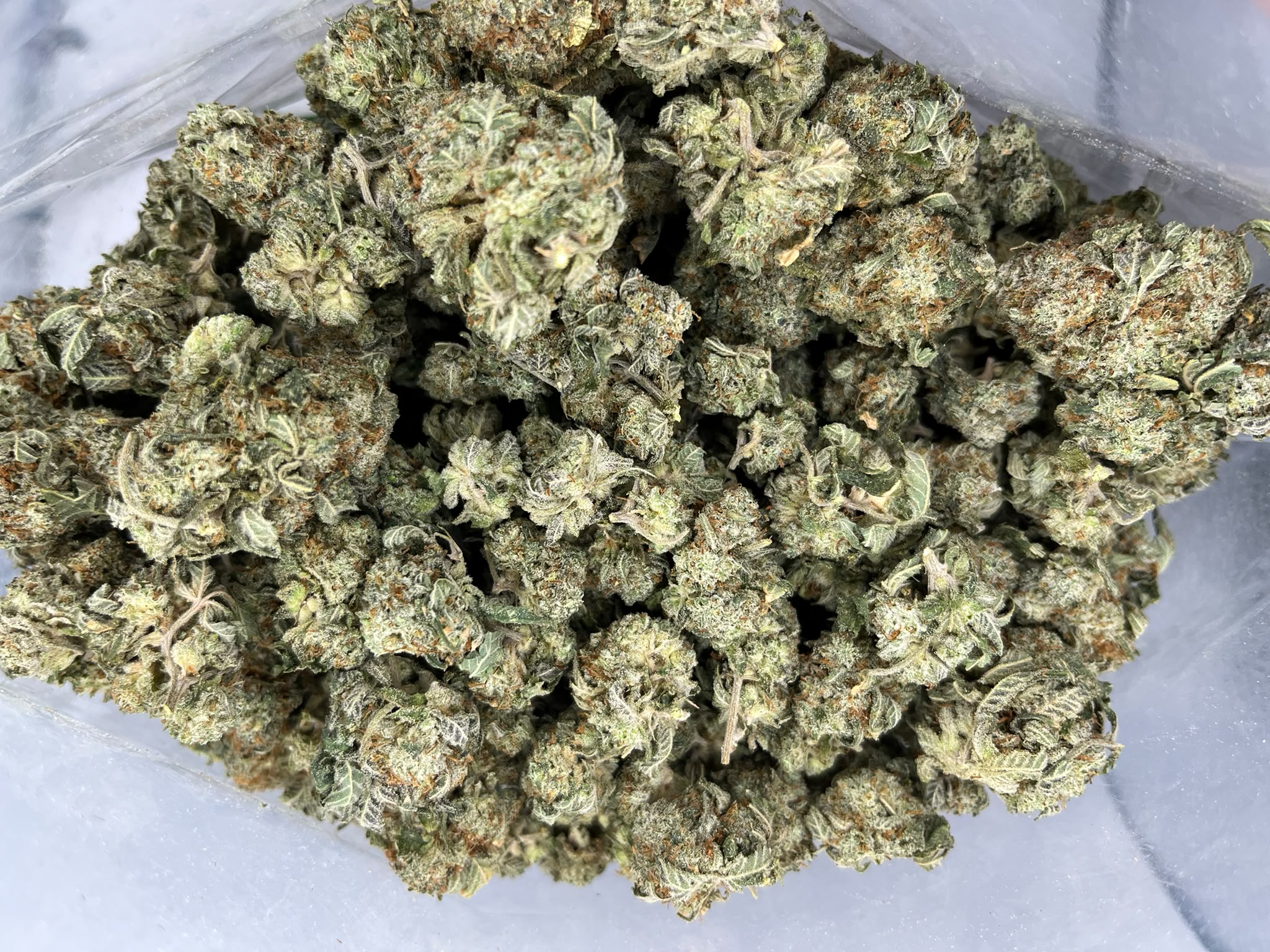 Budget Oz – Lemon Bubble