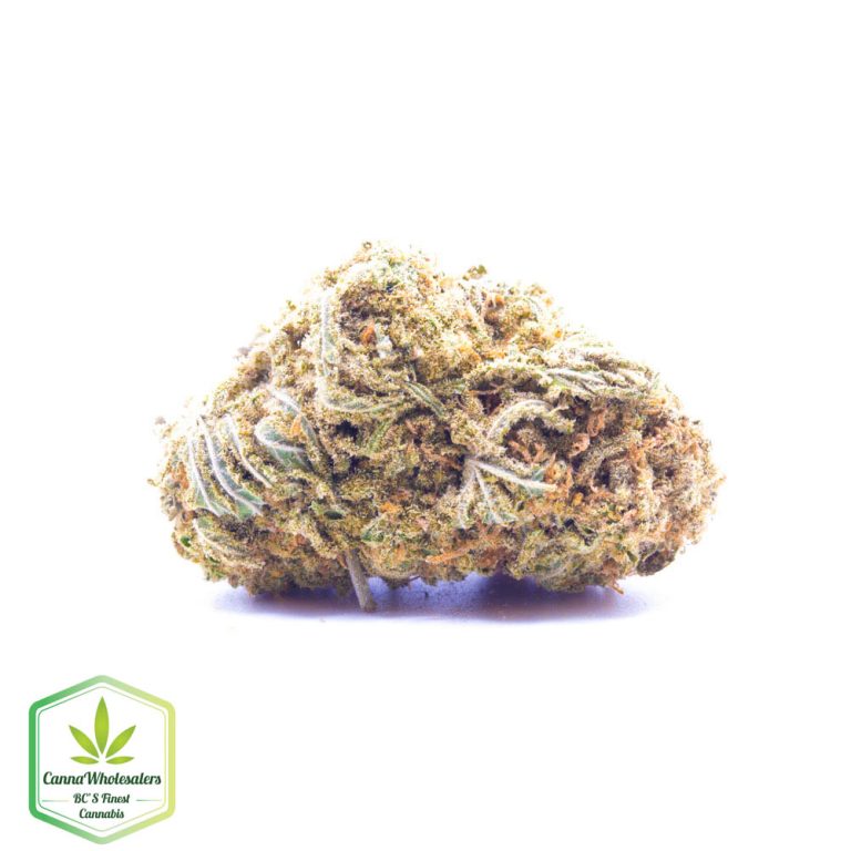Jamaican Dream