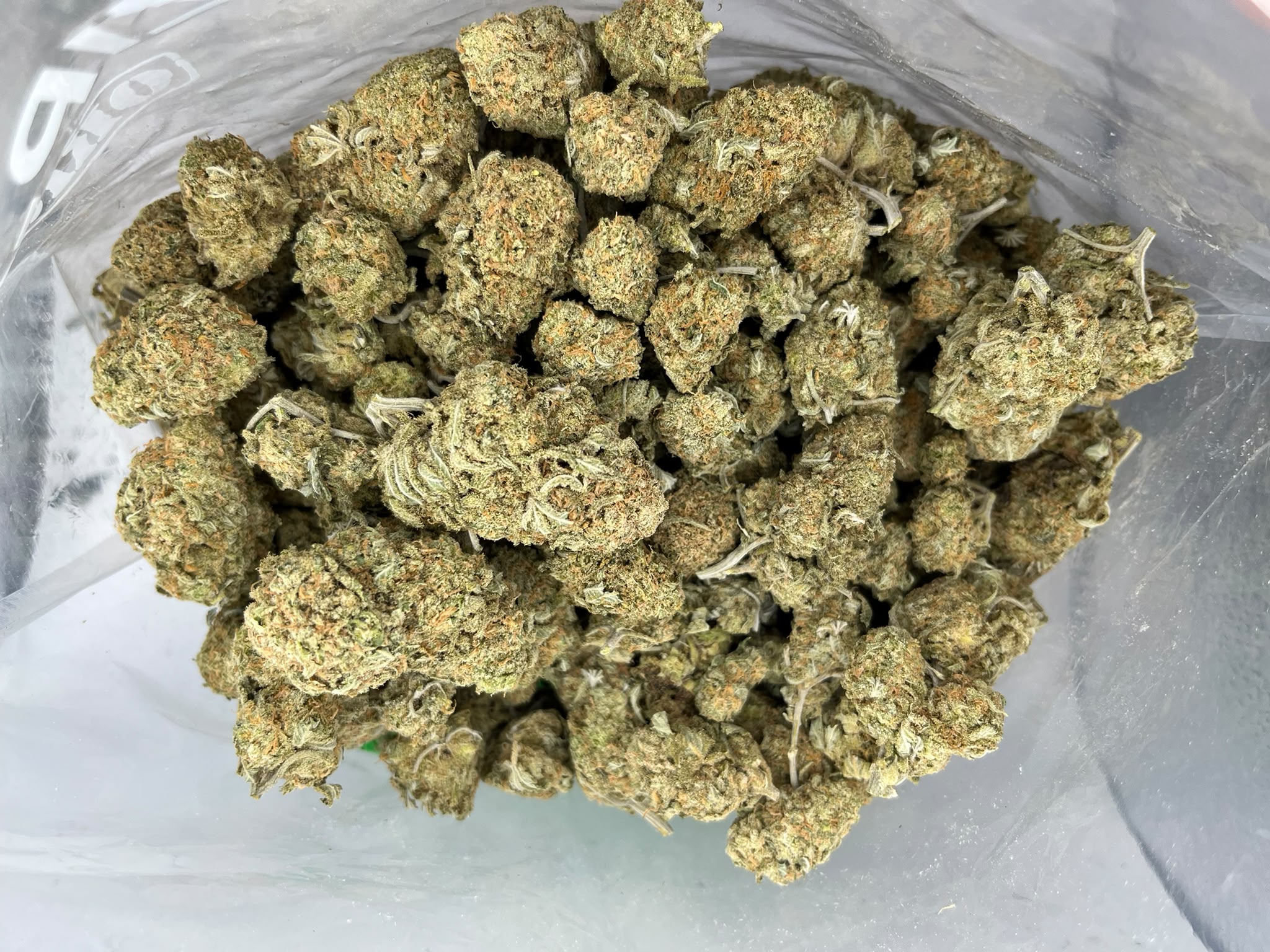 Jamaican Dream