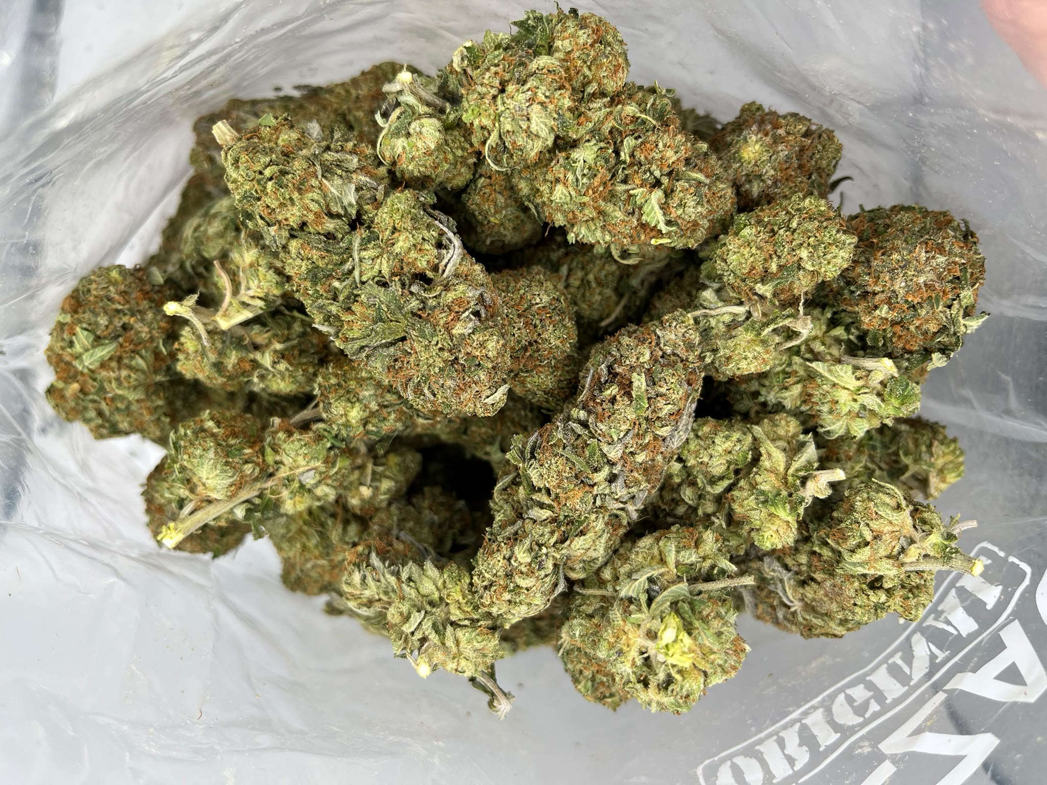 PRE-98 Bubba Kush