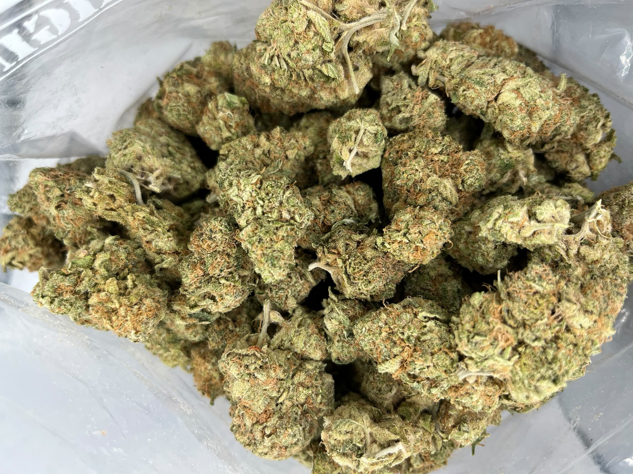 Budget Oz – Golden Gage