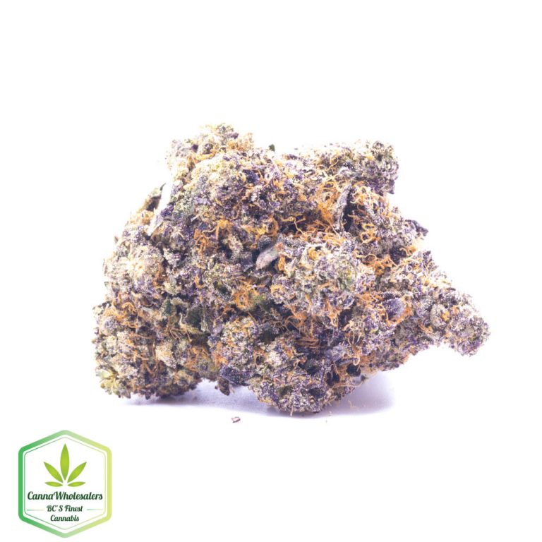 Dolce Gelato – Craft Gardens