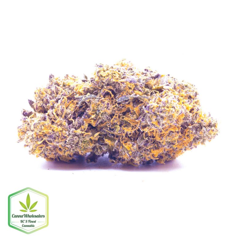 Purple Gushers – Craft Gardens