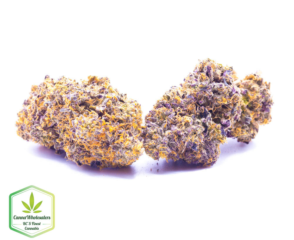 Purple Gushers – Craft Gardens