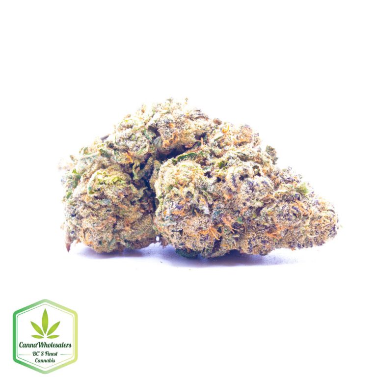 Sugar Breath