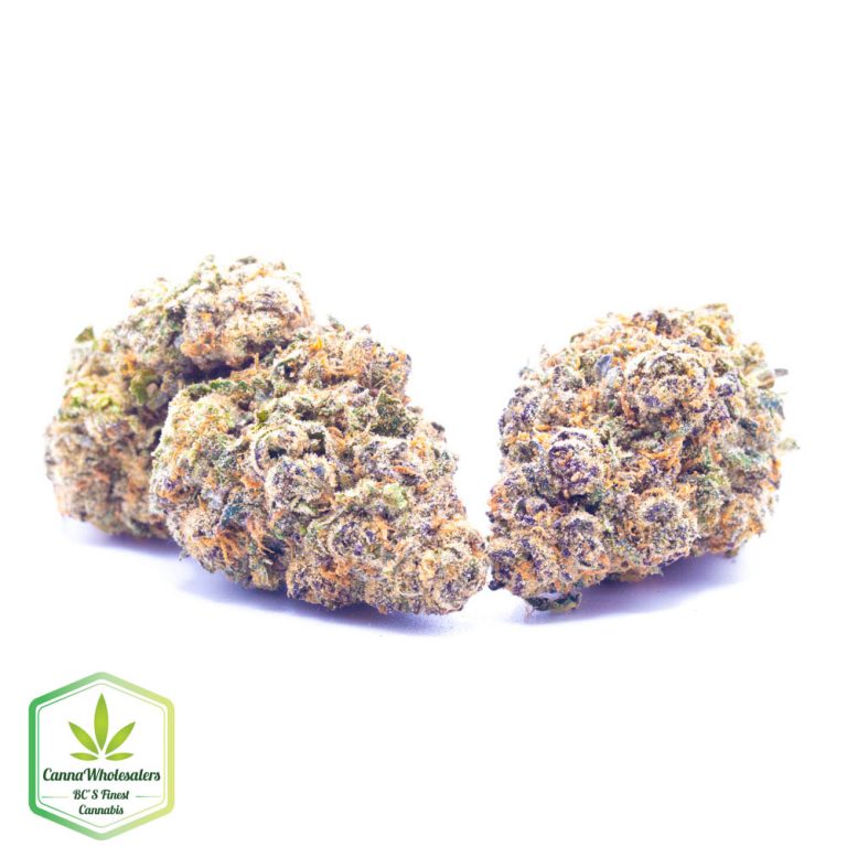 Budget Oz – Sugar Breath