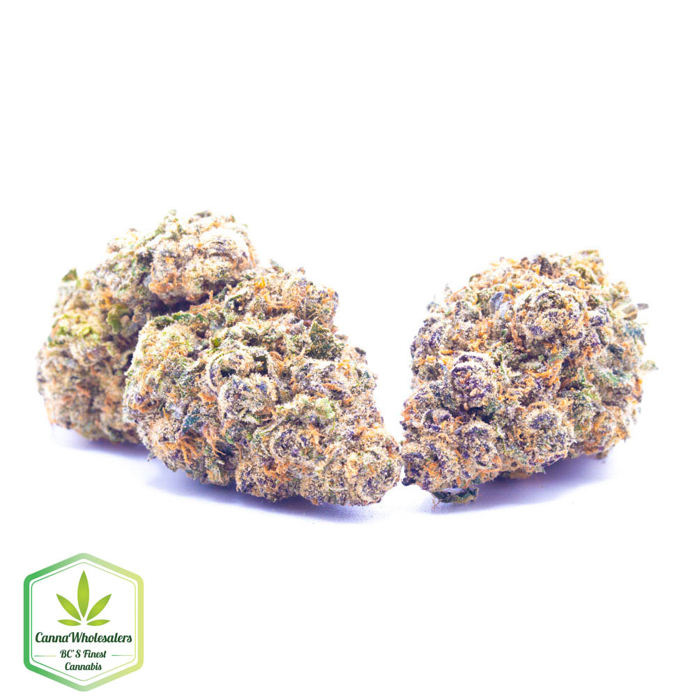 Budget Oz – Sugar Breath