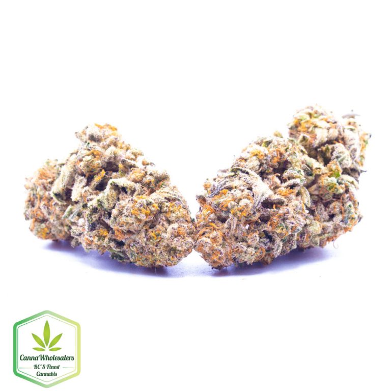 Budget Oz – Sherbanger