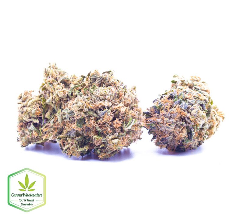 Budget Oz – Skunk No.1