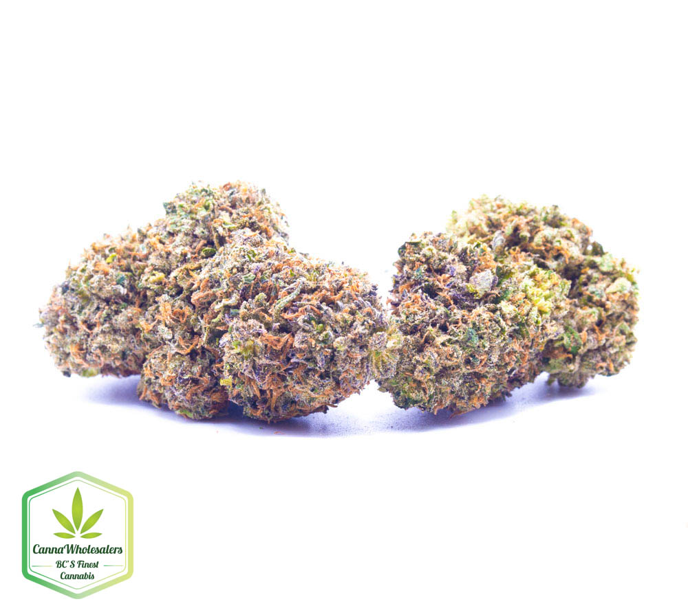 Budget Oz – Fire Haze
