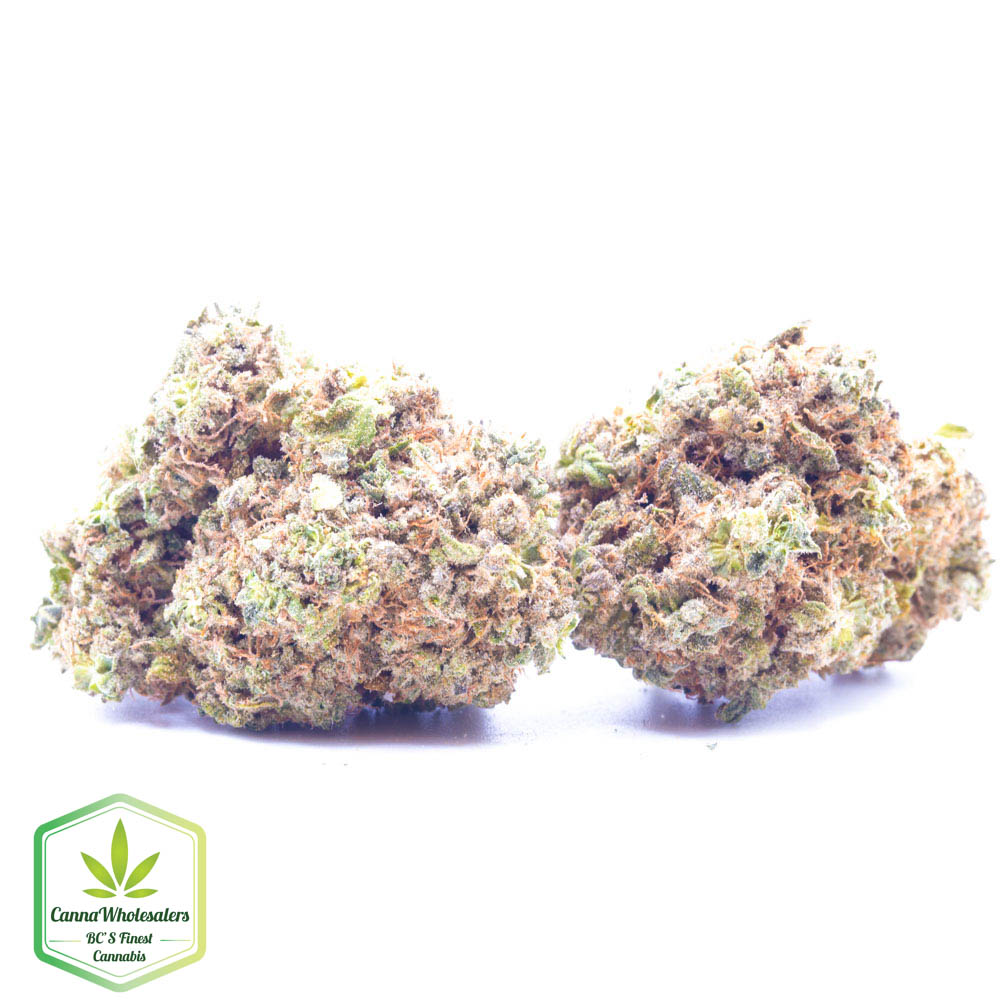 Budget Oz – Blue Dynamite