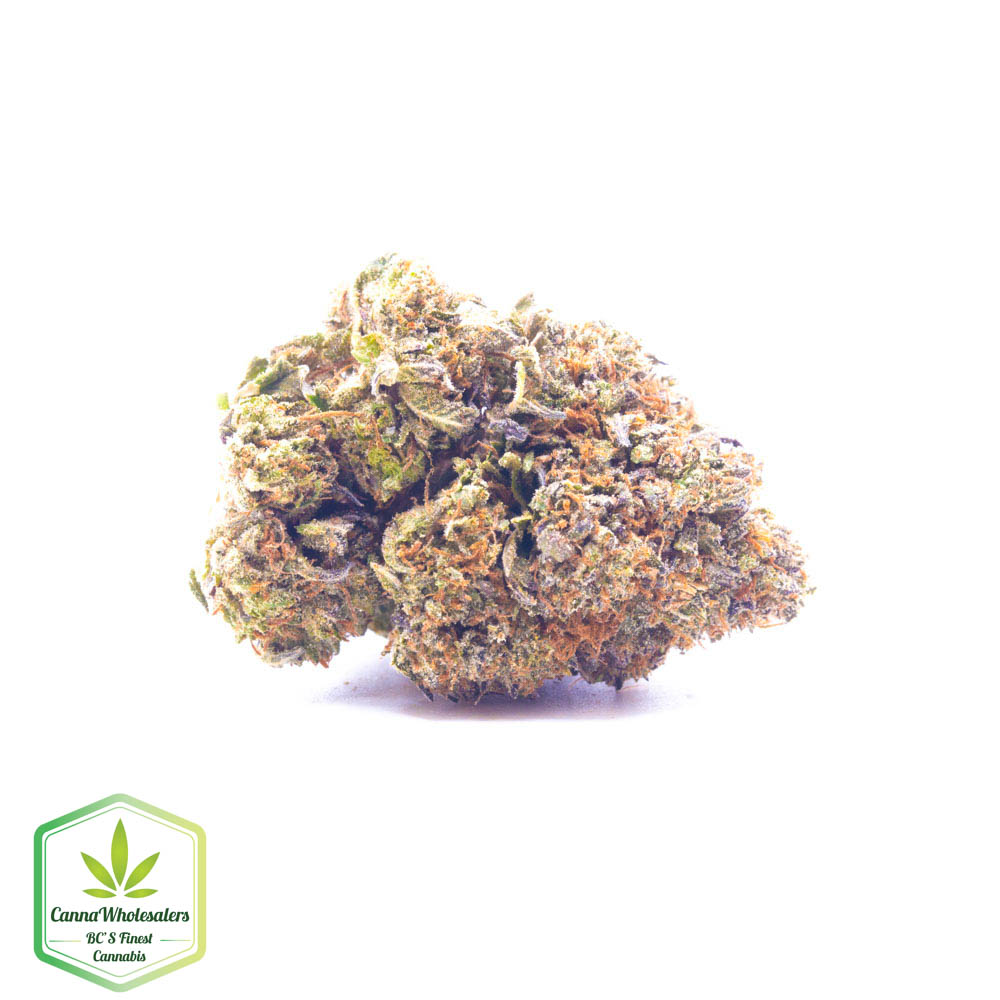 Black Afghan