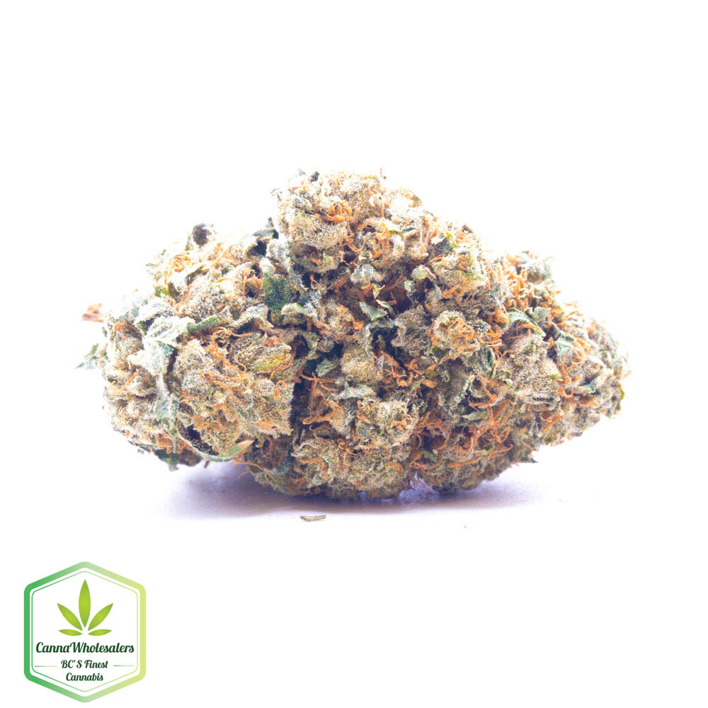 Buddha Tahoe