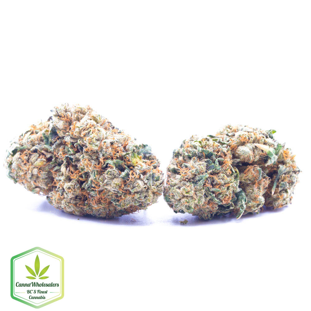 Buddha Tahoe