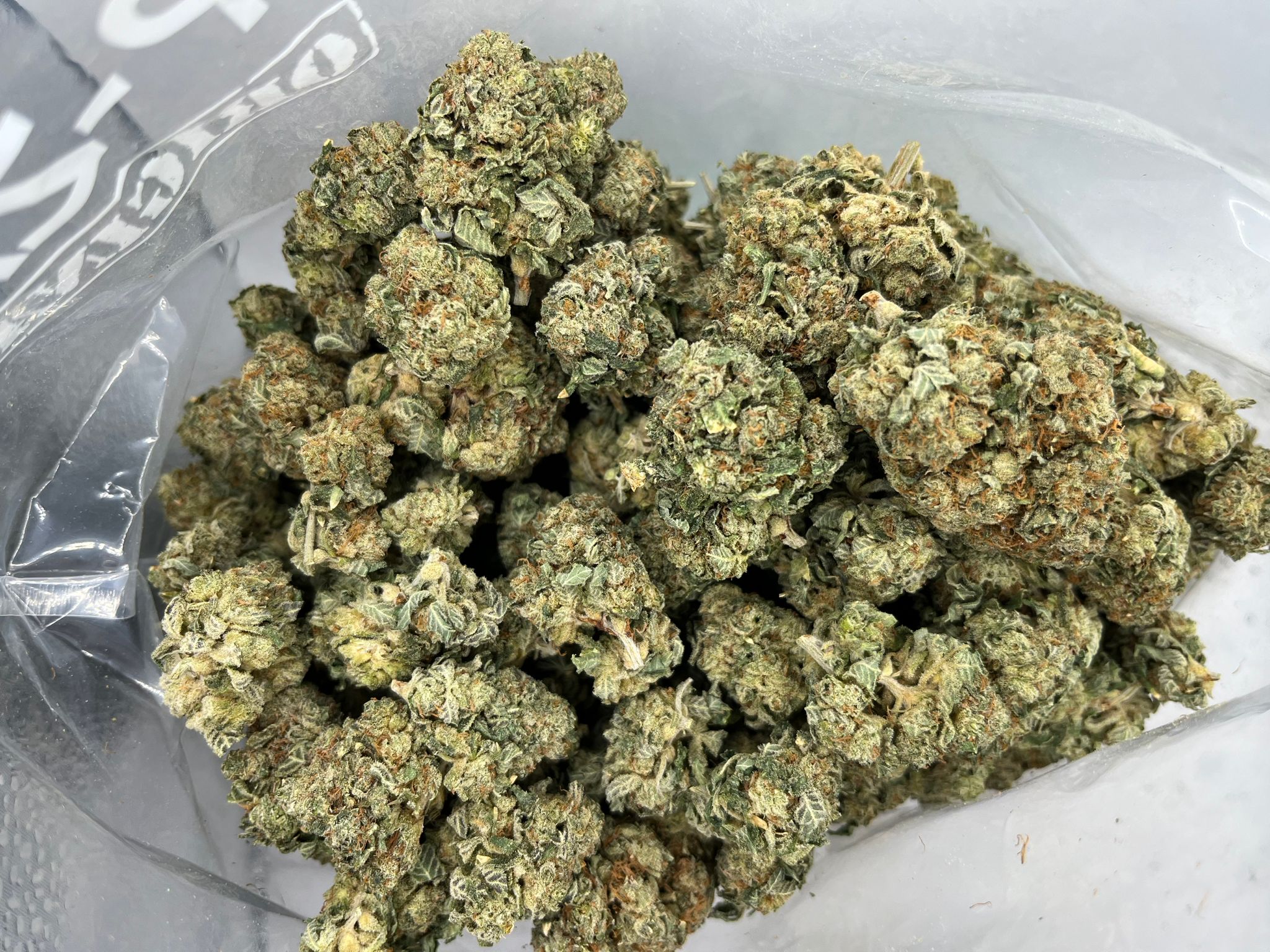 Buddha Tahoe