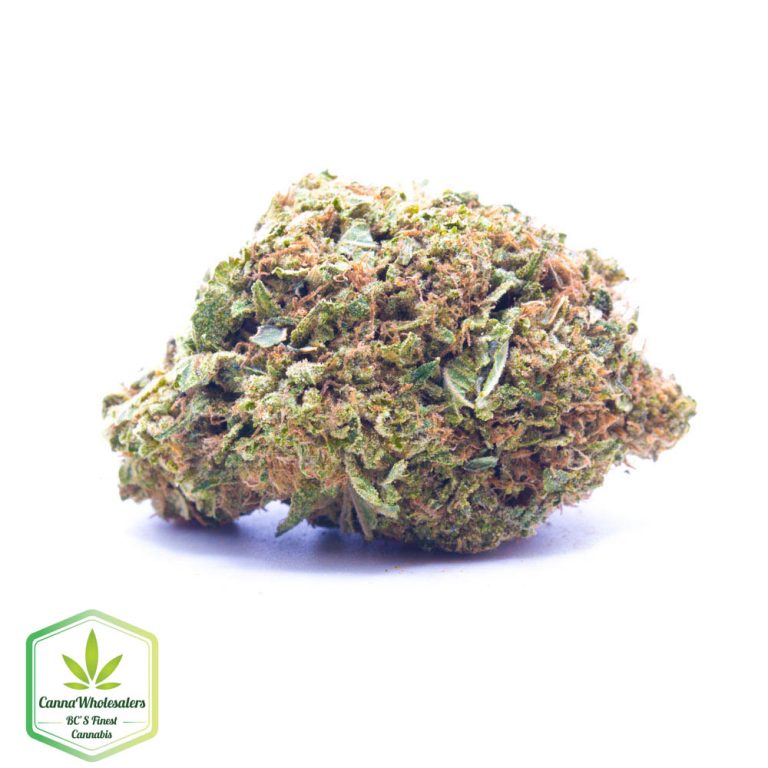 Godfather OG