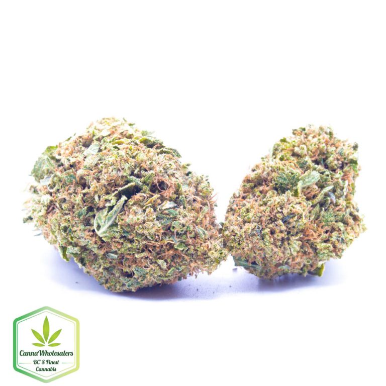 Budget Oz – Godfather OG