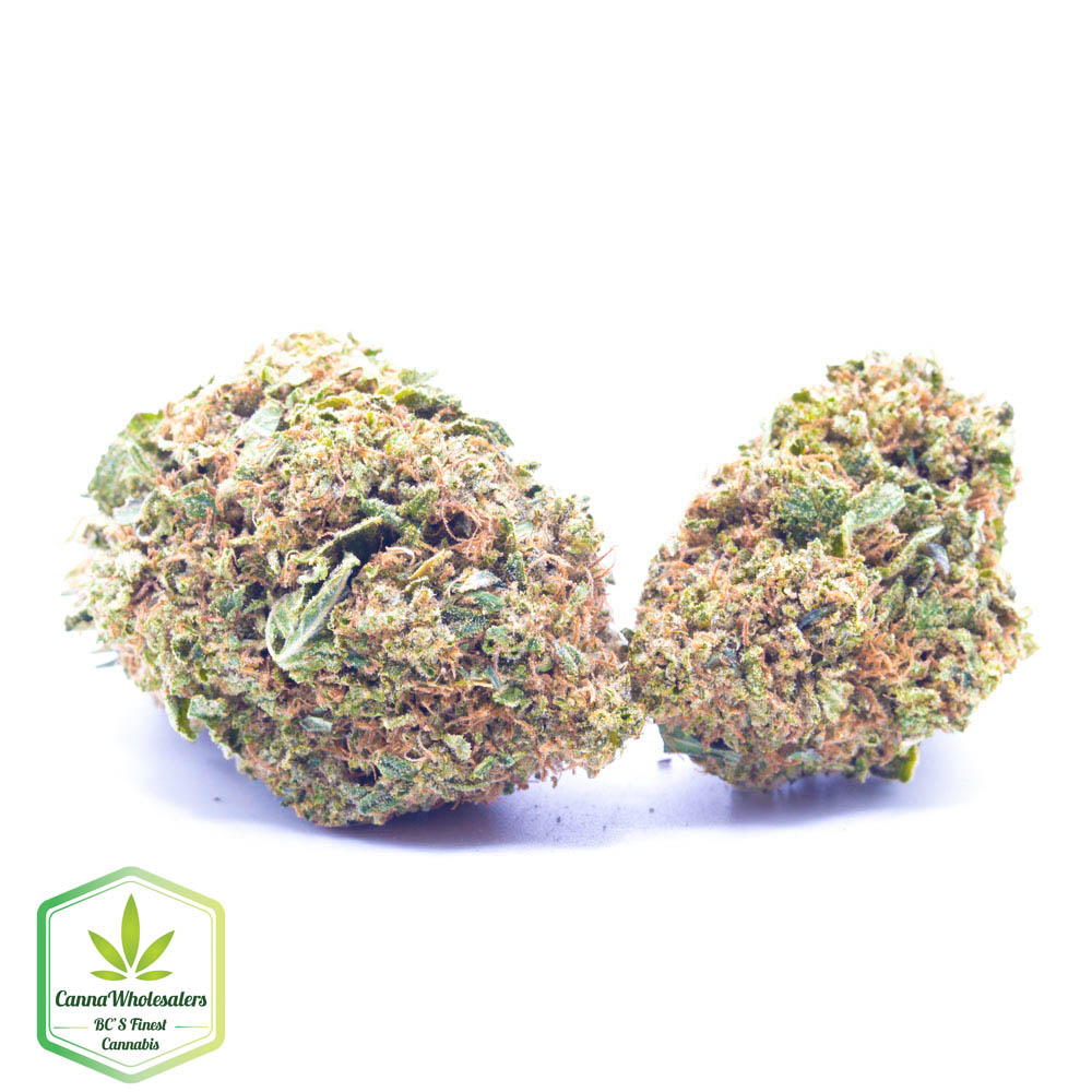 Budget Oz – Godfather OG