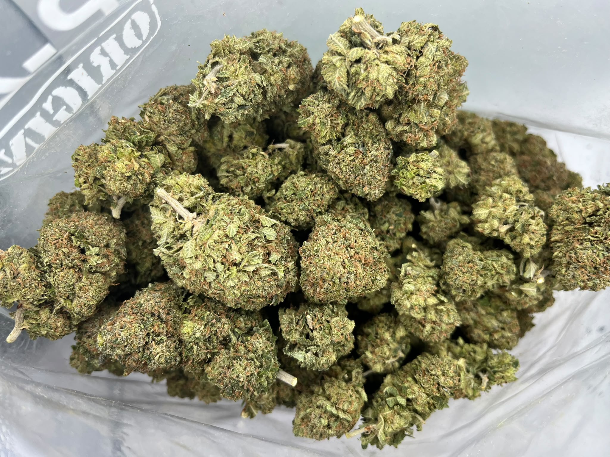 Budget Oz – Godfather OG