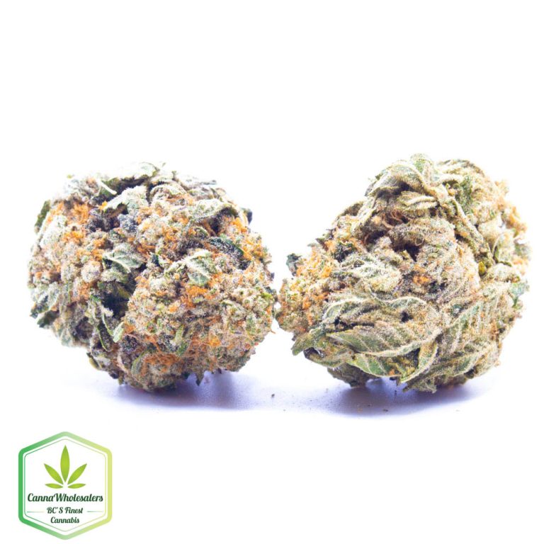 Budget Oz – Peach Oz