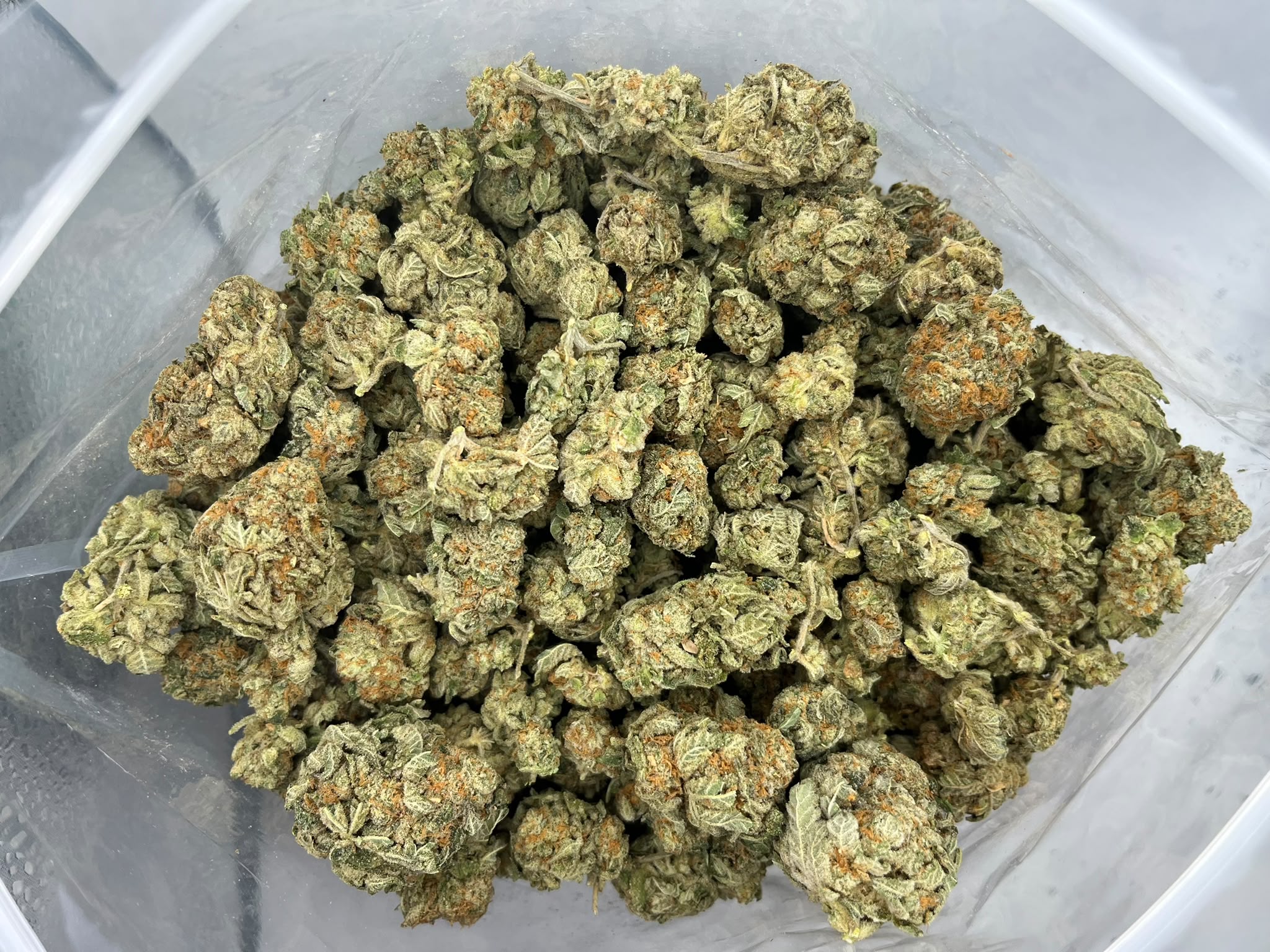 Budget Oz – Peach Oz