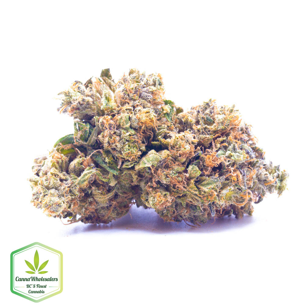 Ace Killer OG