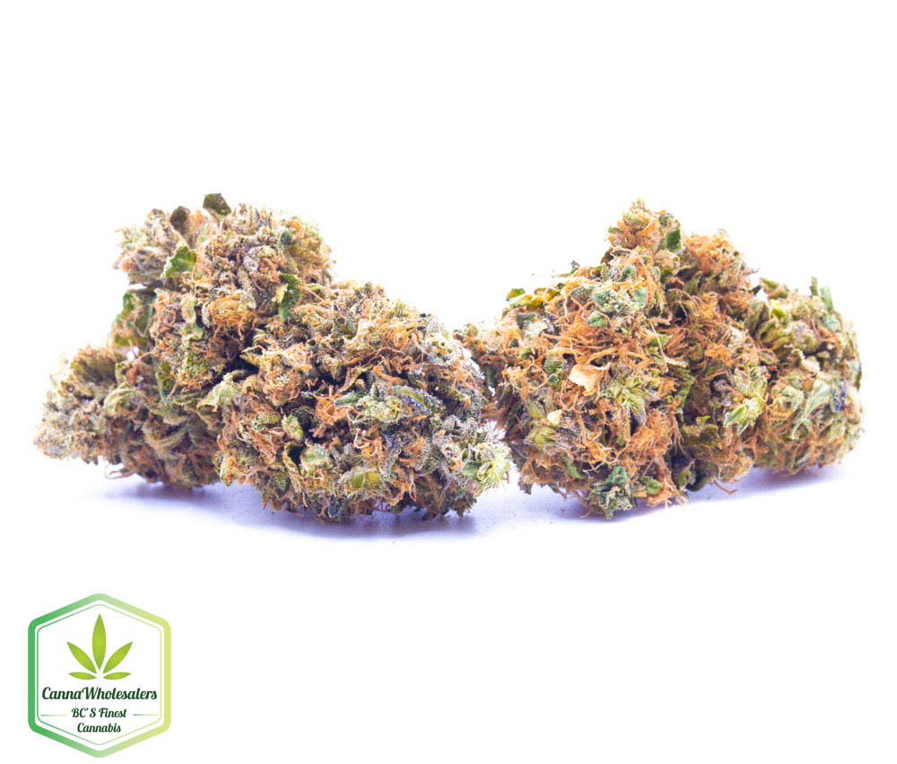 Ace Killer OG