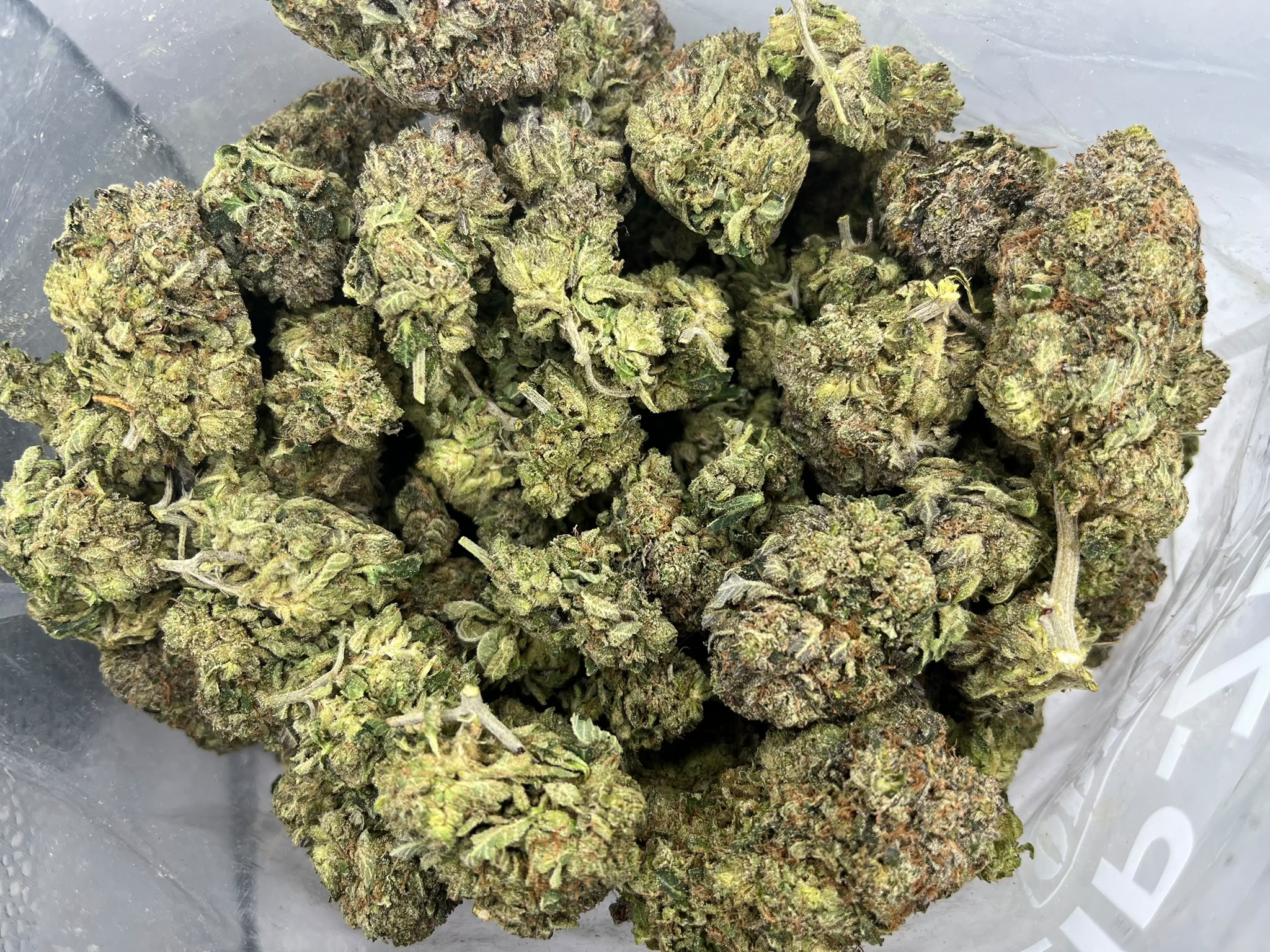 Pink Tuna