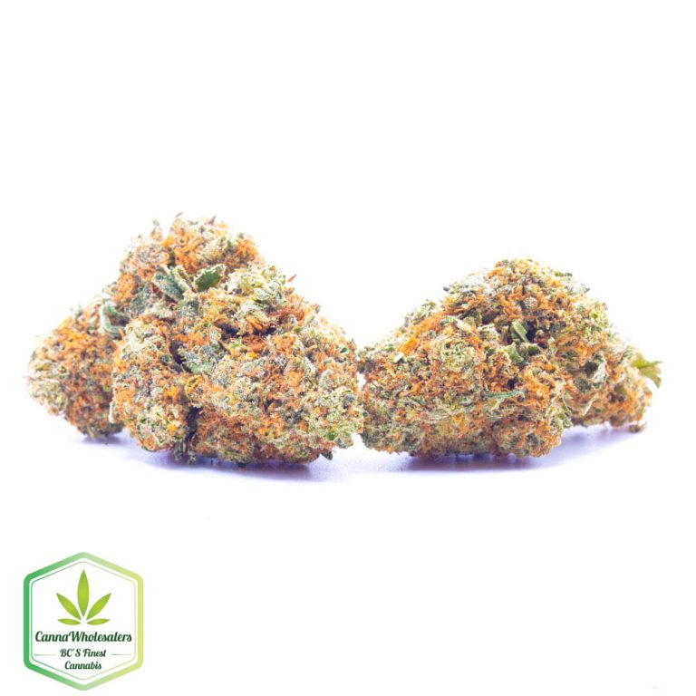 Budget Oz – Mekamika Haze