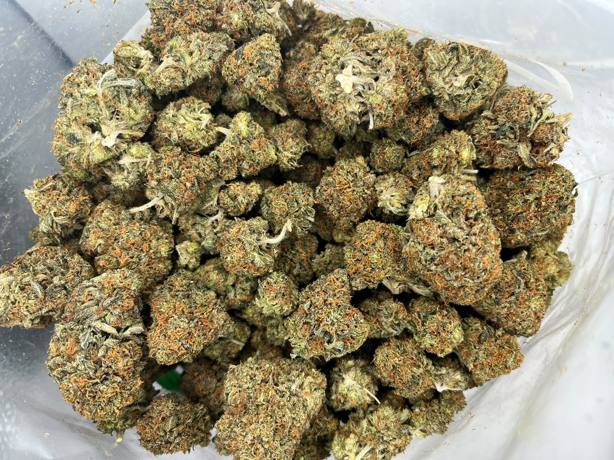Budget Oz – Sojay Haze