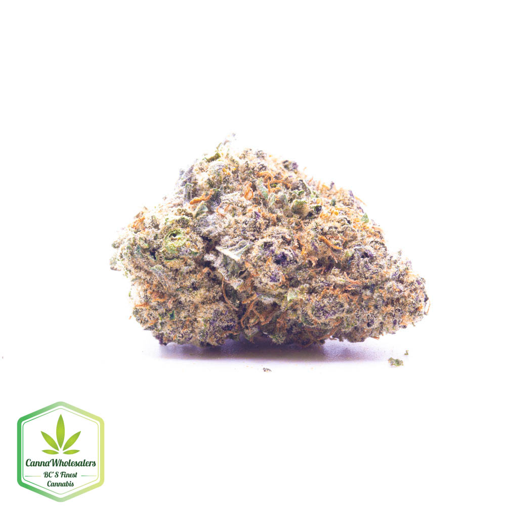 Purple Monkey Balls