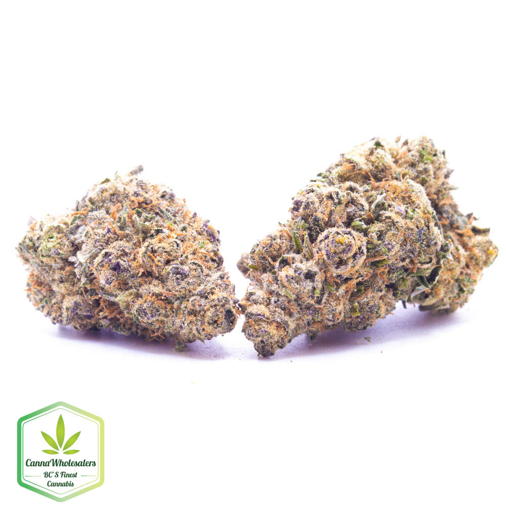 Purple Monkey Balls