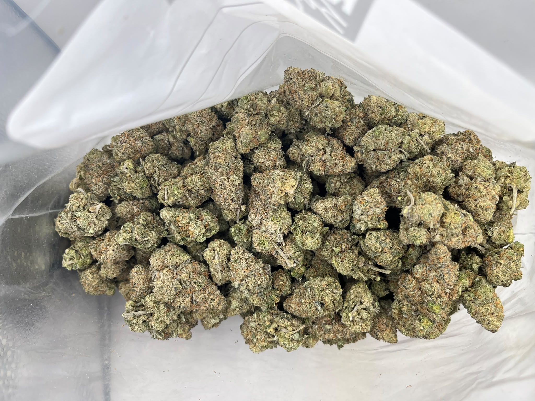 Purple Monkey Balls
