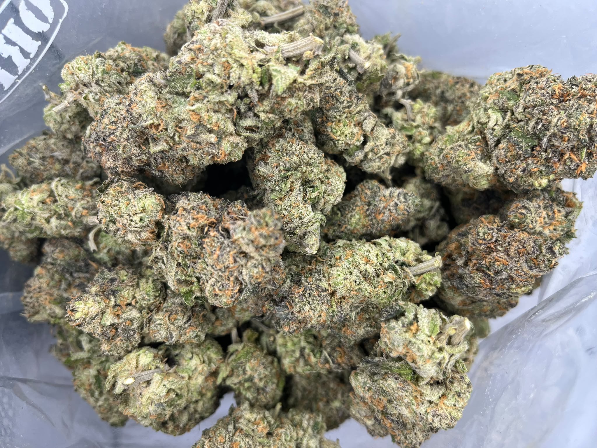 Purple Moby Dick – Craft Gardens