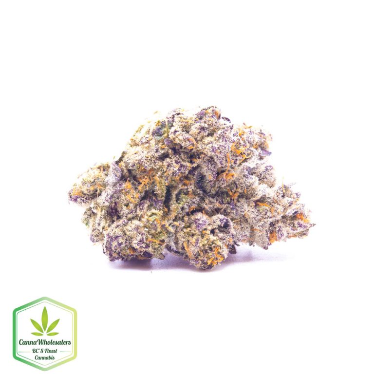 Blueberry Space Cookies