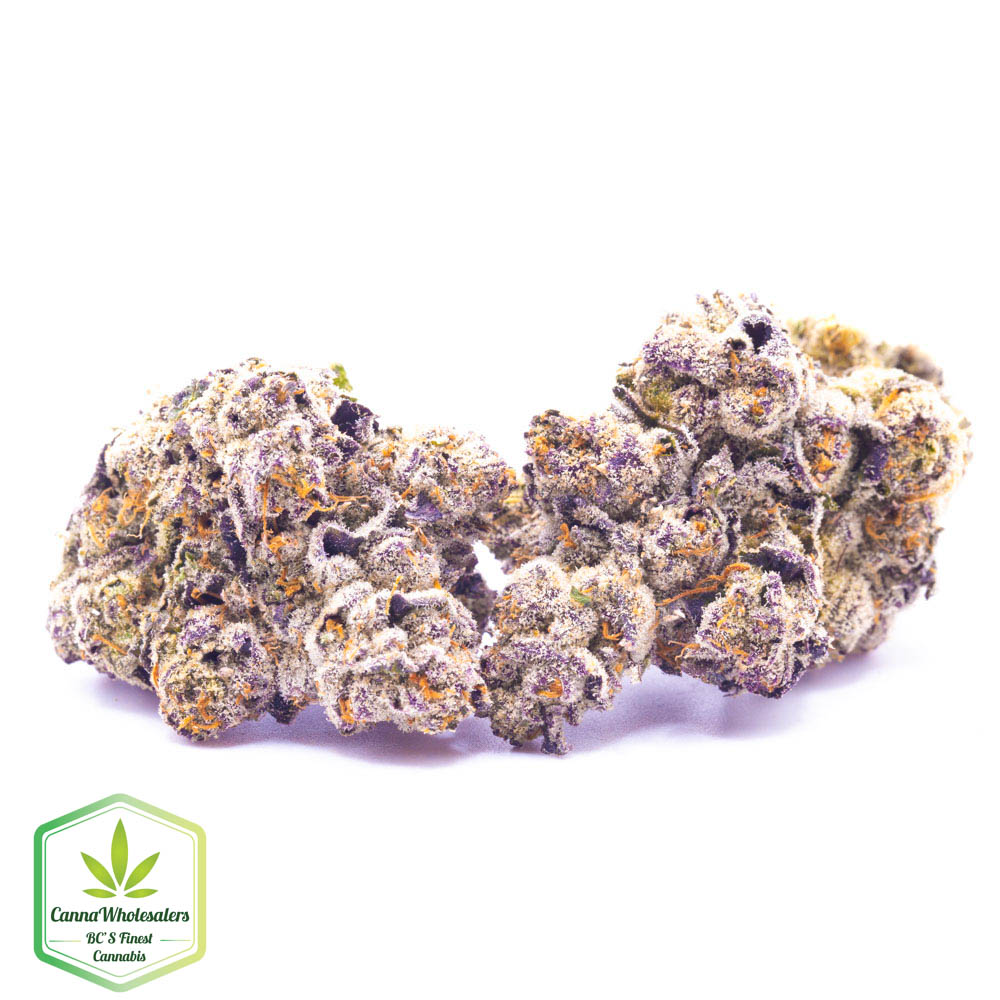 Blueberry Space Cookies
