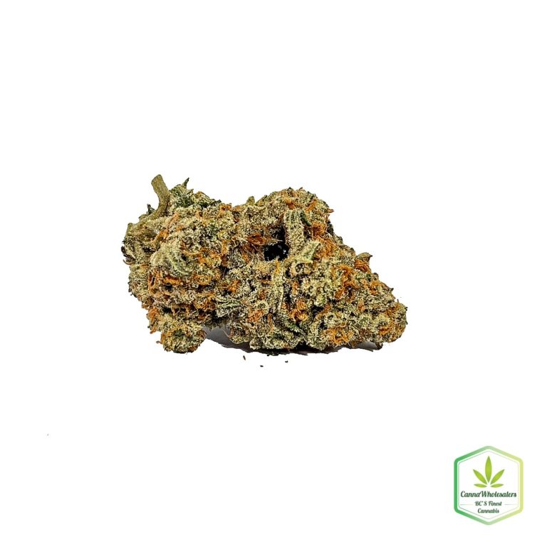 Maui Citrus Punch