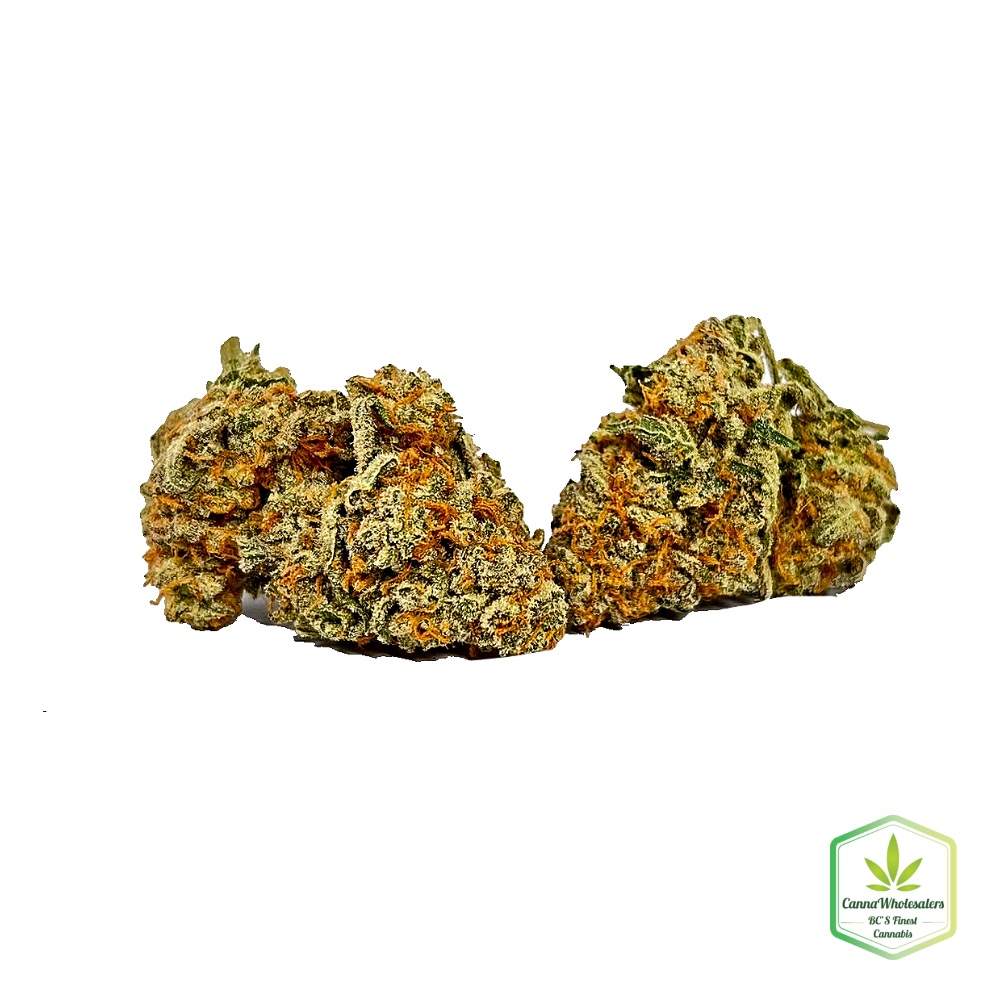Maui Citrus Punch