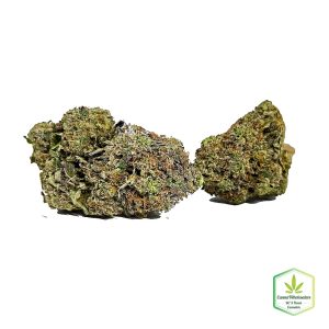 Budget Oz – OG 1 Kenobi