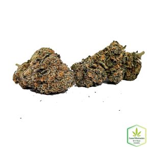 Budget Oz – Forbidden Fruit