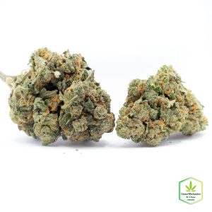 Budget Oz – Kritikal-K