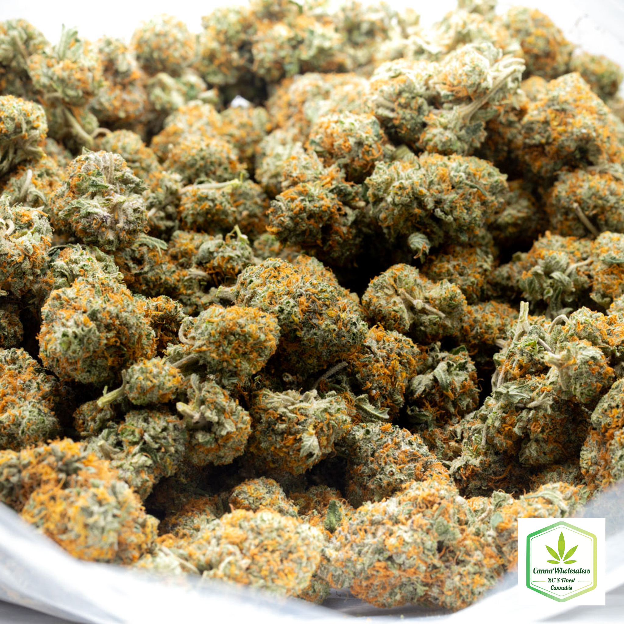 Raspberry Cough