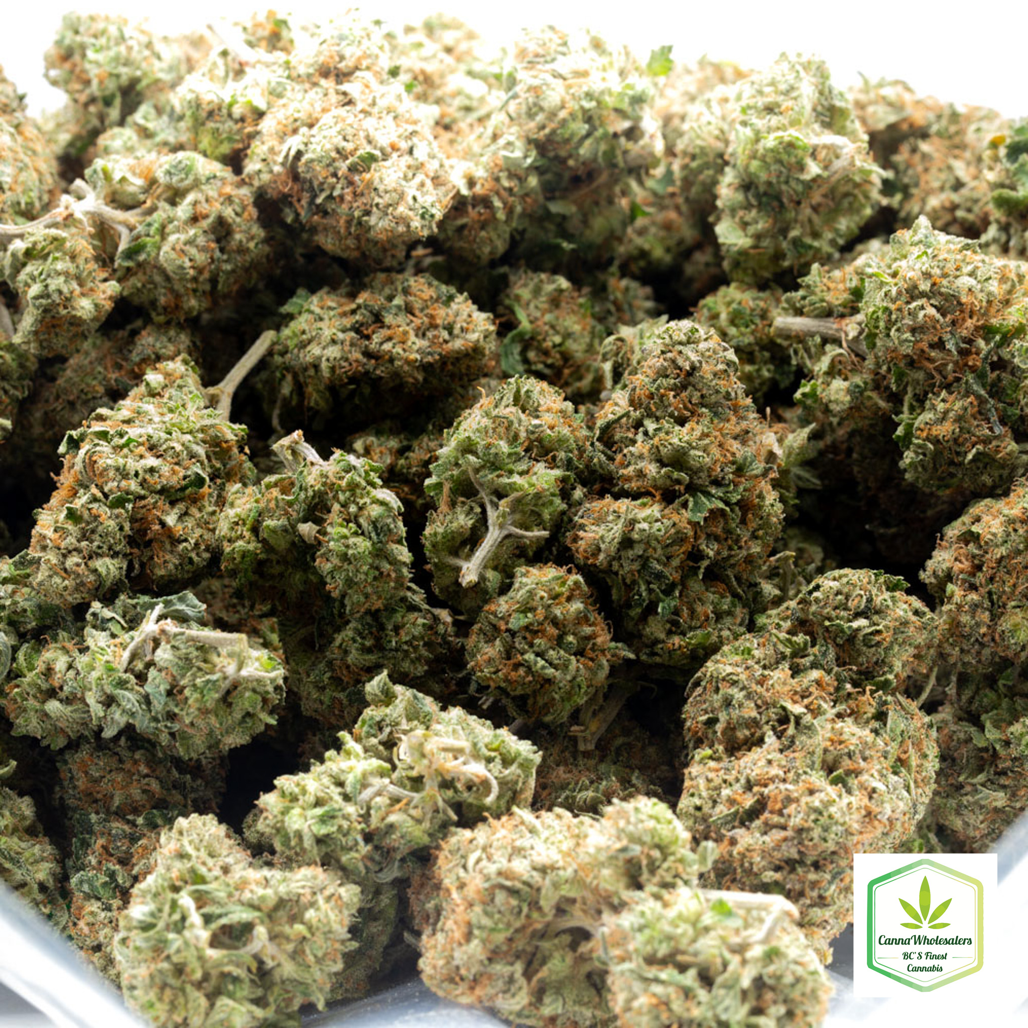 Double Barrel OG