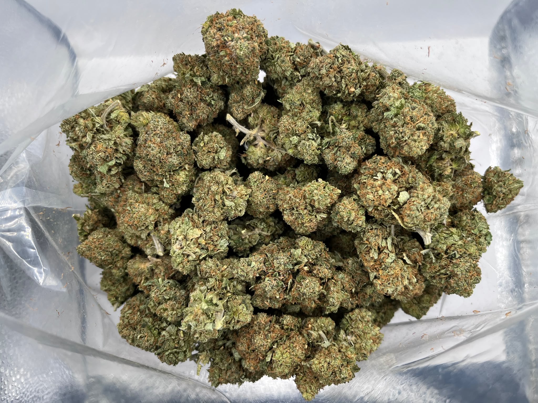 Budget Oz – White 99