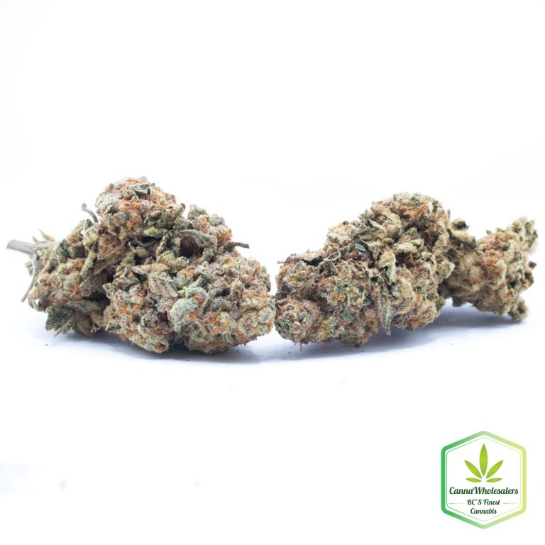 Budget Oz – Strawberry Satori