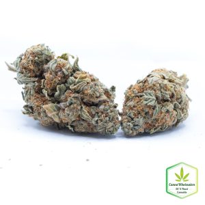 Budget Oz – Trix