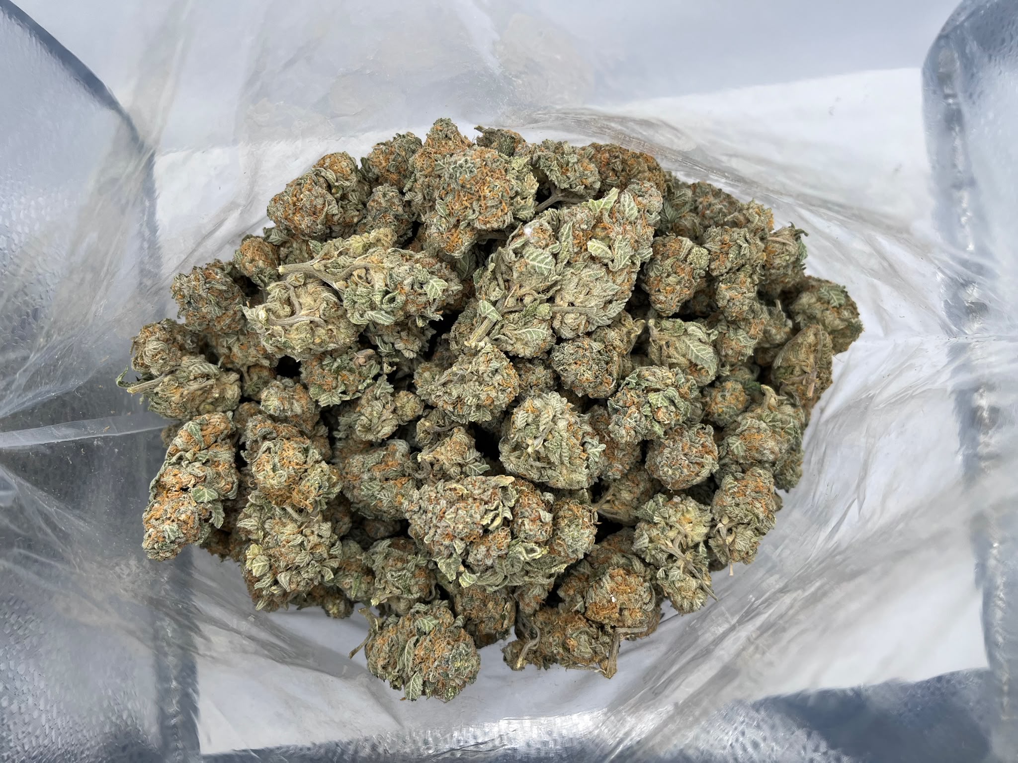 Budget Oz – Trix