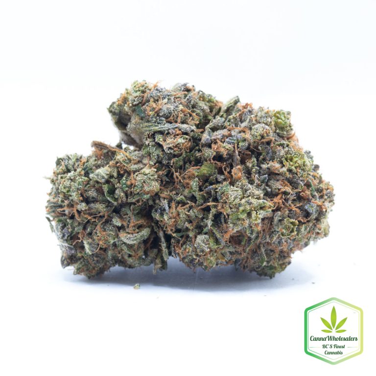 Legend OG